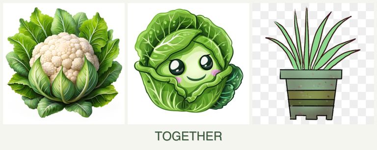 Can you plant cauliflower, cabbage and lemongrass together?