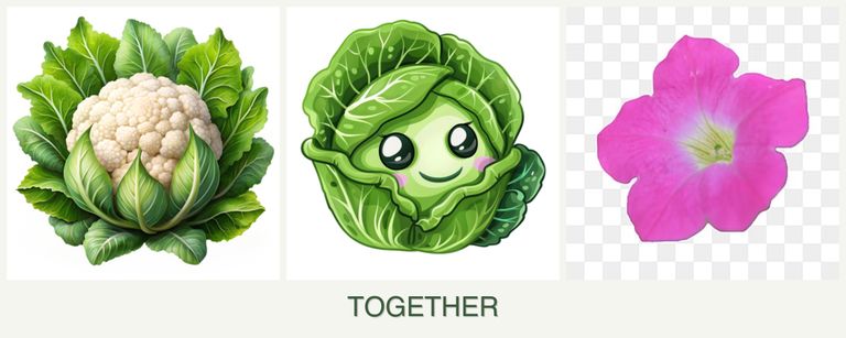 Can you plant cauliflower, cabbage and petunias together?