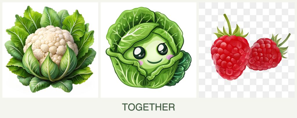 Can you plant cauliflower, cabbage and raspberries together?