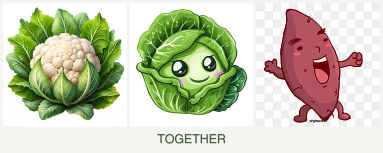 Can you plant cauliflower, cabbage and sweet potatoes together?