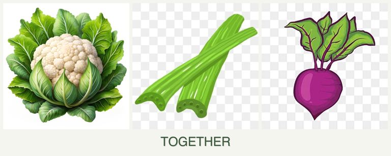 Can you plant cauliflower, celery and beets together?