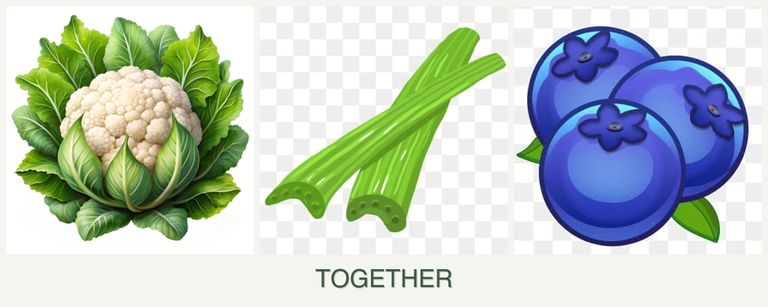Can you plant cauliflower, celery and blueberries together?