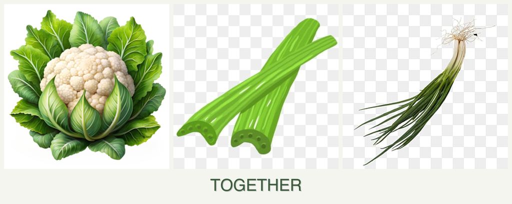 Can you plant cauliflower, celery and chives together?