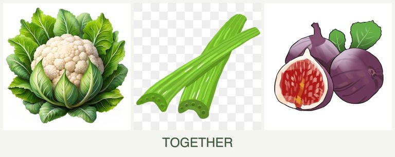 Can you plant cauliflower, celery and figs together?