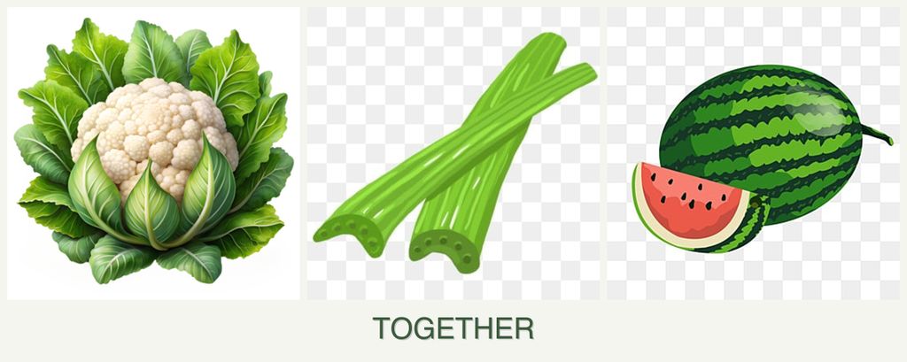 Can you plant cauliflower, celery and melons together?