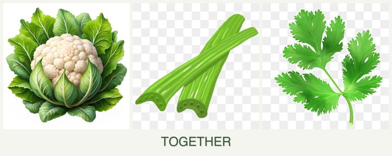 Can you plant cauliflower, celery and parsley together?
