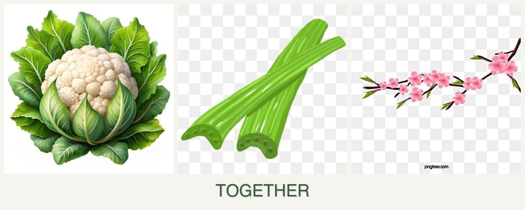 Can you plant cauliflower, celery and peaches together?