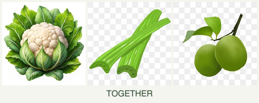 Can you plant cauliflower, celery and plums together?