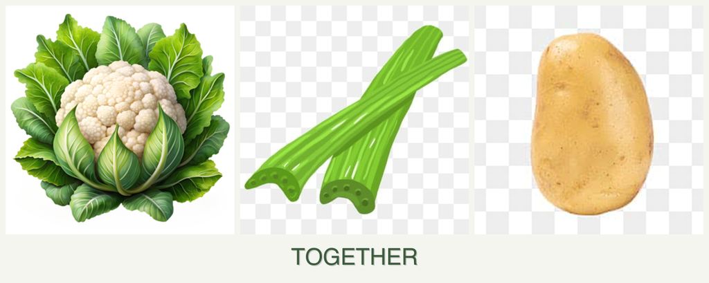 Can you plant cauliflower, celery and potatoes together?