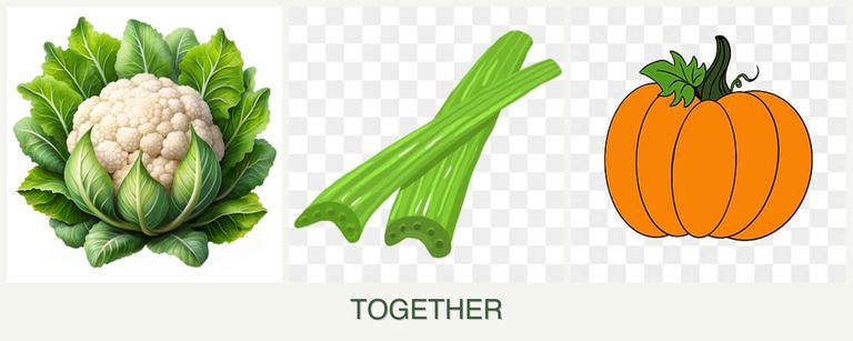 Can you plant cauliflower, celery and pumpkin together?
