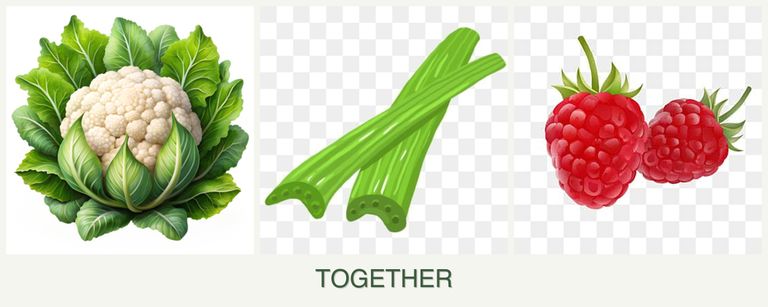 Can you plant cauliflower, celery and raspberries together?