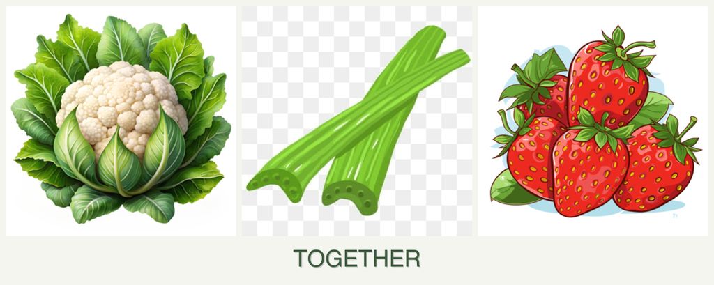 Can you plant cauliflower, celery and strawberries together?