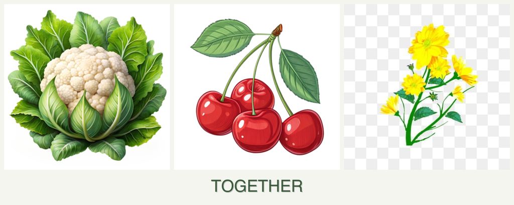 Can you plant cauliflower, cherries and calendula together?