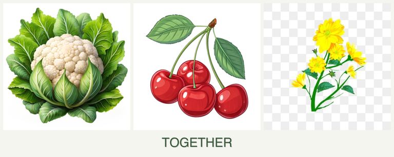 Can you plant cauliflower, cherries and calendula together?