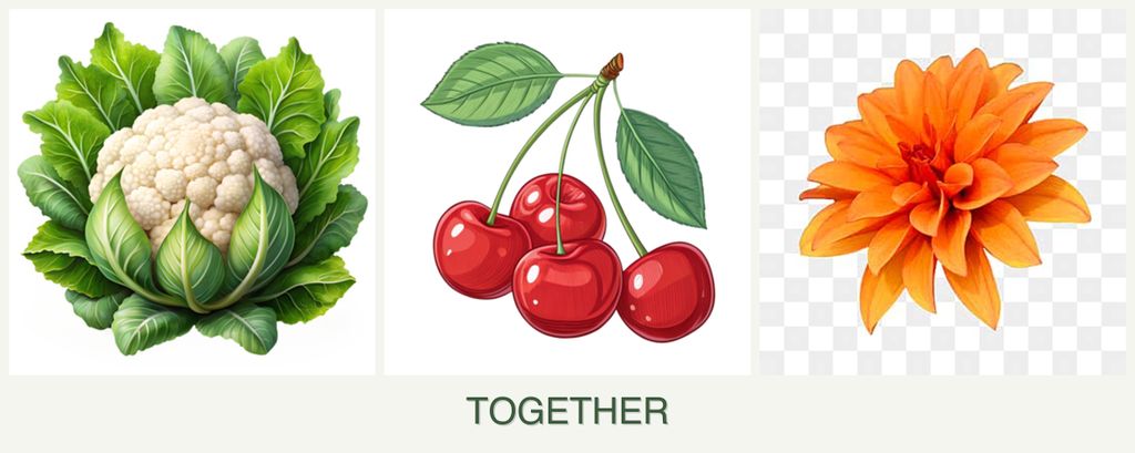 Can you plant cauliflower, cherries and dahlias together?