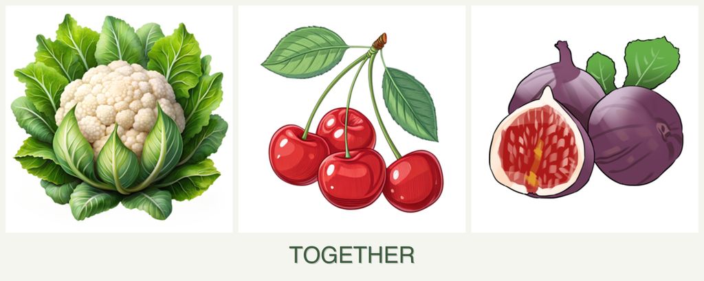 Can you plant cauliflower, cherries and figs together?