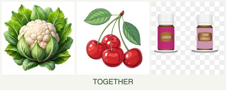 Can you plant cauliflower, cherries and geraniums together?