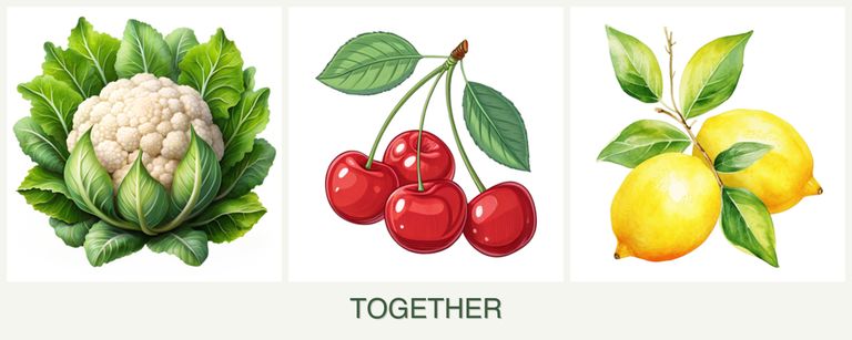 Can you plant cauliflower, cherries and lemons together?