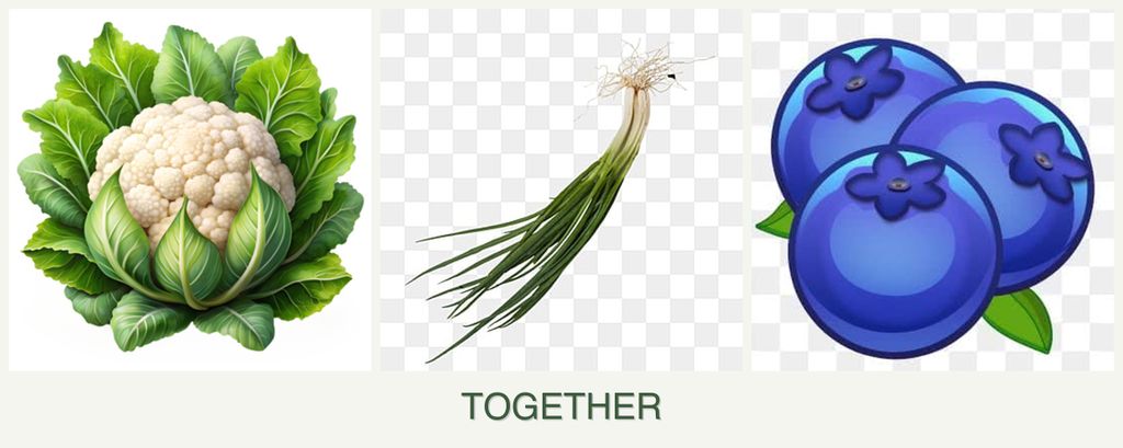 Can you plant cauliflower, chives and blueberries together?