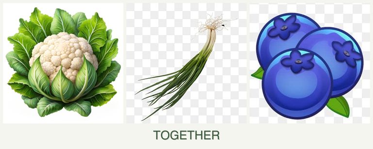 Can you plant cauliflower, chives and blueberries together?