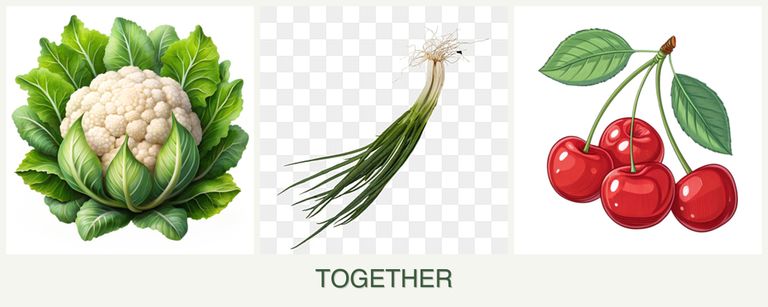 Can you plant cauliflower, chives and cherries together?