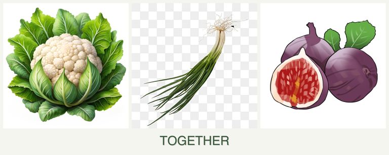Can you plant cauliflower, chives and figs together?