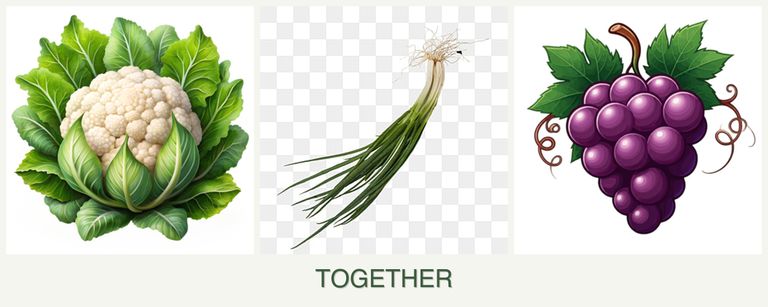 Can you plant cauliflower, chives and grapes together?