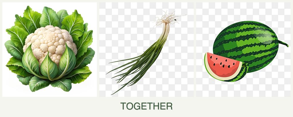 Can you plant cauliflower, chives and melons together?
