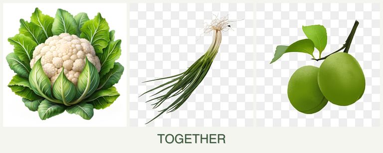 Can you plant cauliflower, chives and plums together?