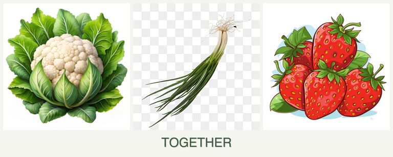 Can you plant cauliflower, chives and strawberries together?