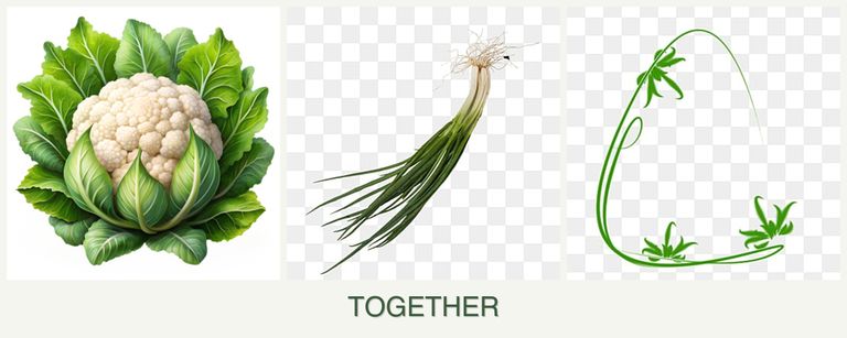 Can you plant cauliflower, chives and tarragon together?