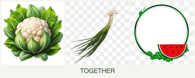 Can you plant cauliflower, chives and watermelons together?