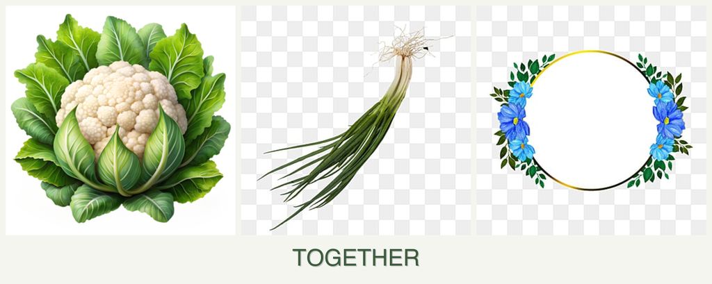 Can you plant cauliflower, chives and zinnias together?