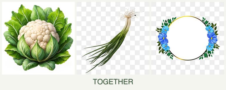 Can you plant cauliflower, chives and zinnias together?