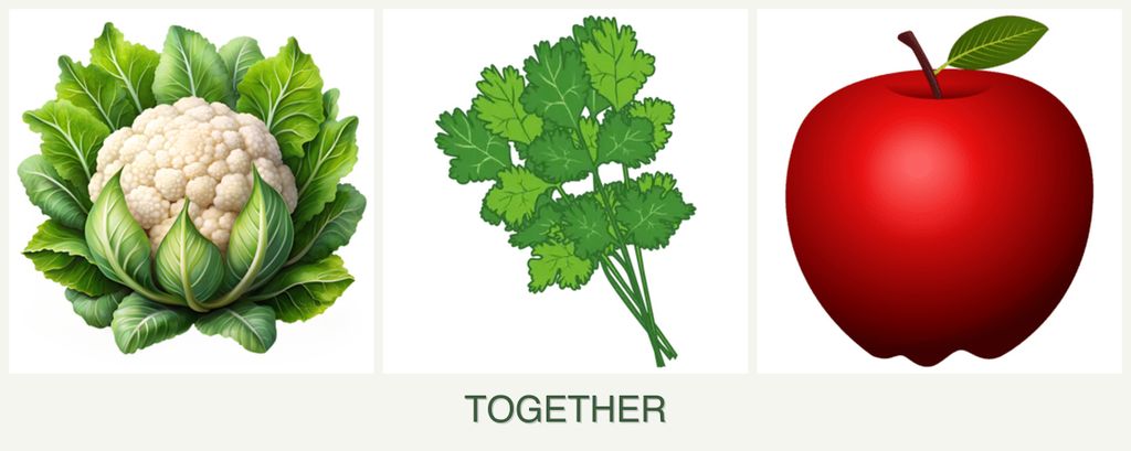 Can you plant cauliflower, cilantro and apples together?