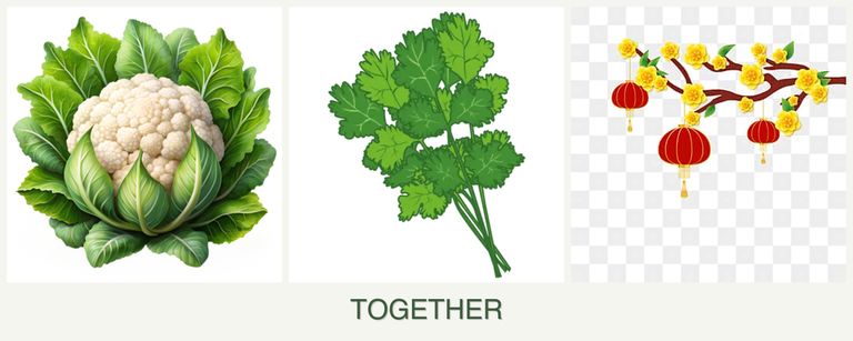 Can you plant cauliflower, cilantro and apricots together?