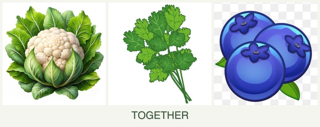 Can you plant cauliflower, cilantro and blueberries together?