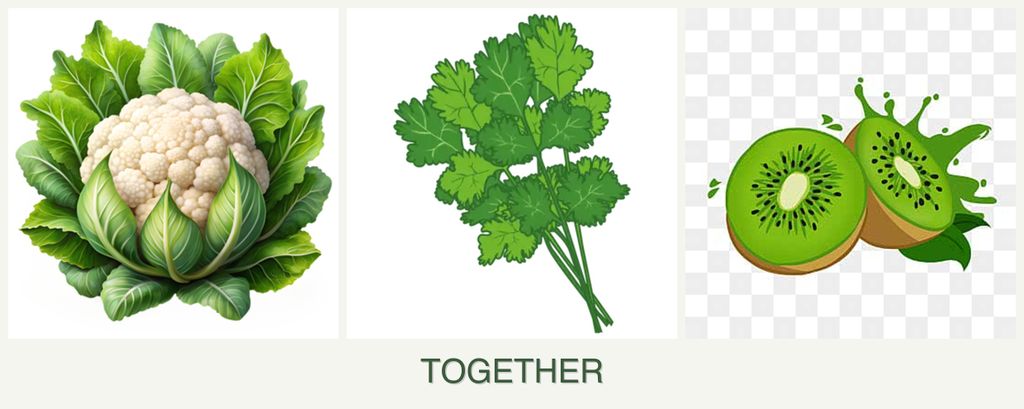 Can you plant cauliflower, cilantro and kiwi together?