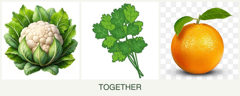 Can you plant cauliflower, cilantro and oranges together?
