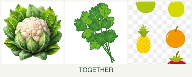 Can you plant cauliflower, cilantro and pears together?