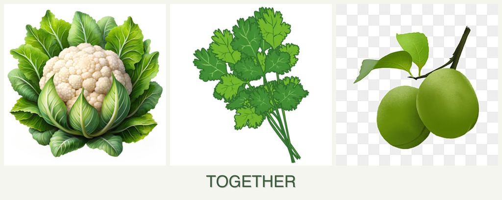 Can you plant cauliflower, cilantro and plums together?
