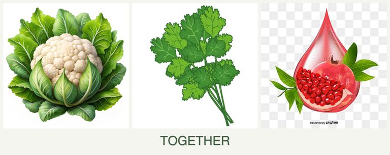 Can you plant cauliflower, cilantro and pomegranates together?