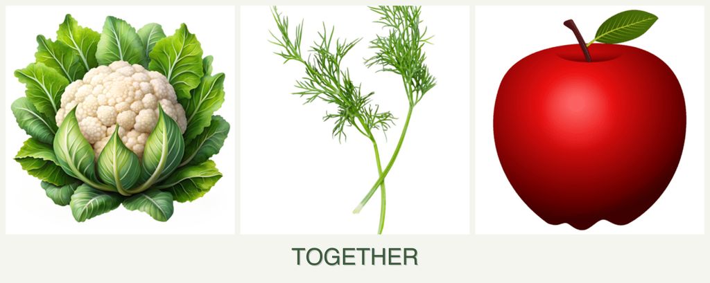 Can you plant cauliflower, dill and apples together?
