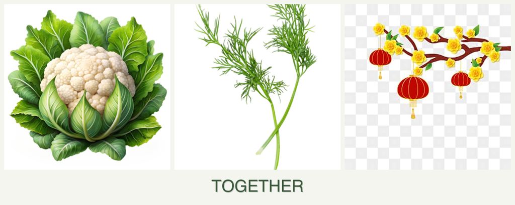 Can you plant cauliflower, dill and apricots together?