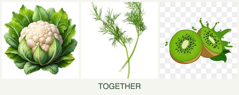 Can you plant cauliflower, dill and kiwi together?