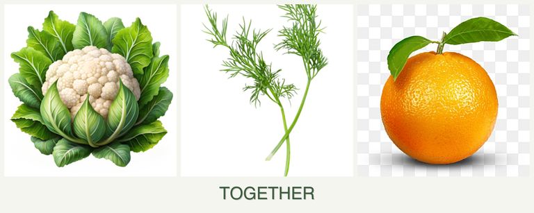 Can you plant cauliflower, dill and oranges together?