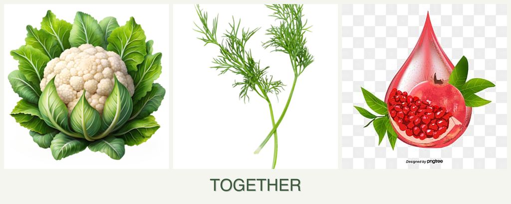 Can you plant cauliflower, dill and pomegranates together?