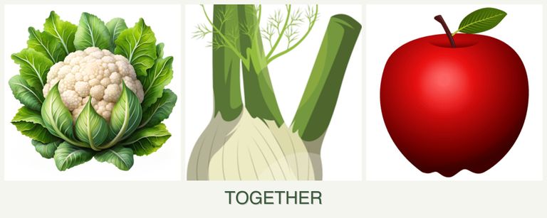 Can you plant cauliflower, fennel and apples together?