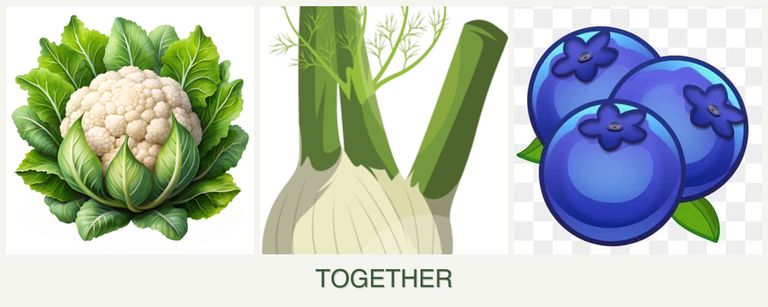 Can you plant cauliflower, fennel and blueberries together?