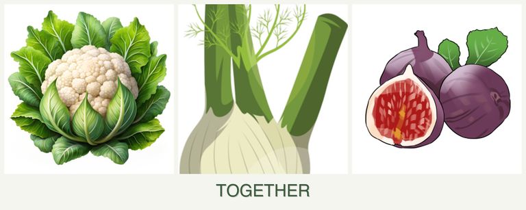 Can you plant cauliflower, fennel and figs together?